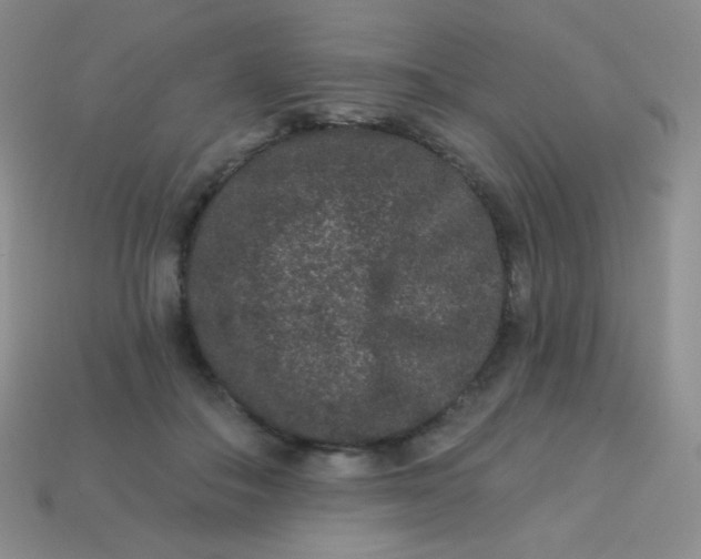 X0000113610506200910091544