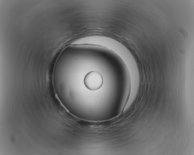 X0000113610508200910091544