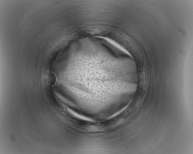 X0000113610510200910091544