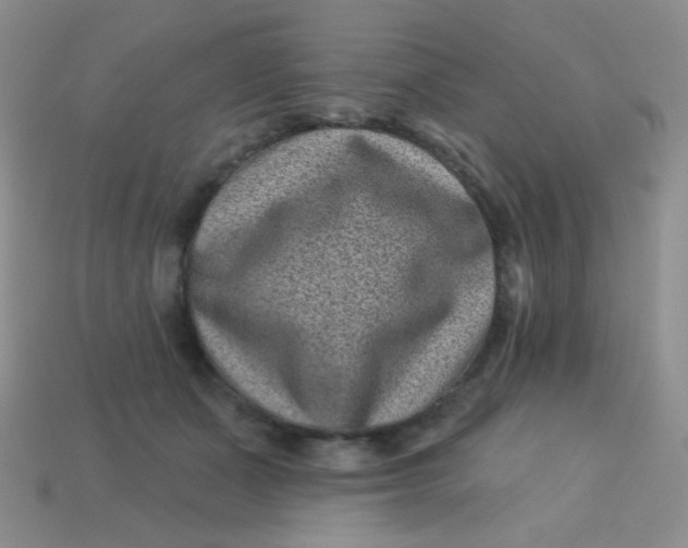 X0000113610511200910091544