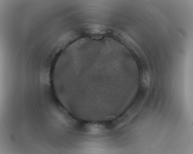 X0000113610512200910091544