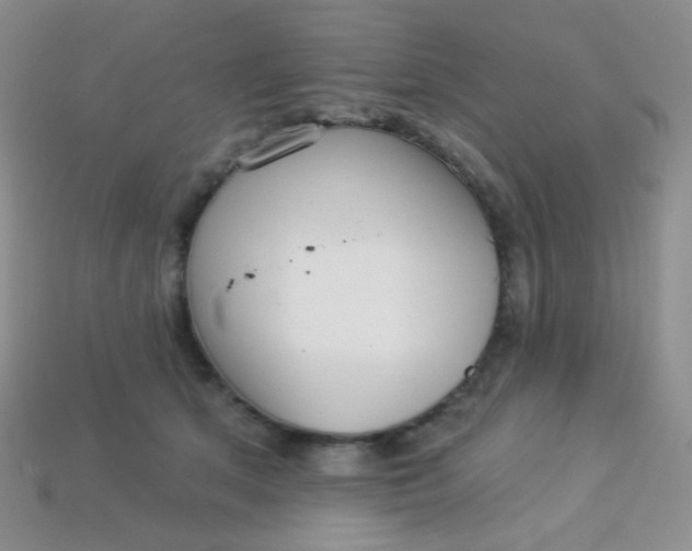 X0000113610513200910091544