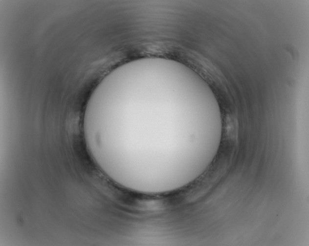 X0000113610514200910091544