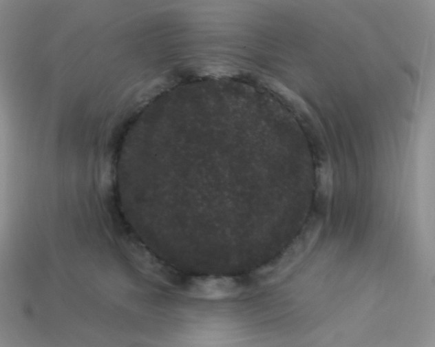 X0000113610517200910091544