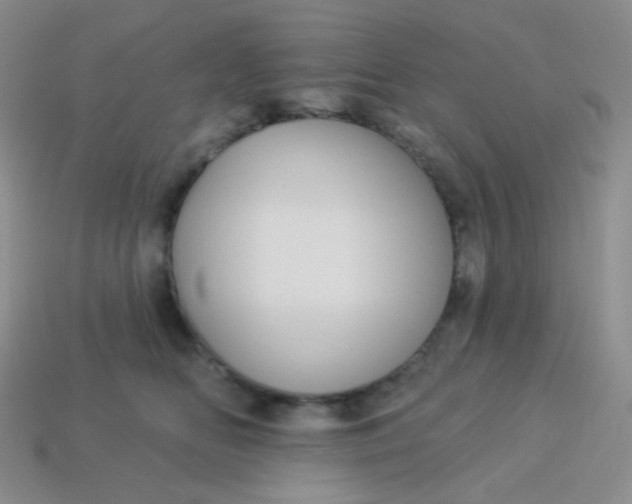 X0000113610518200910091544