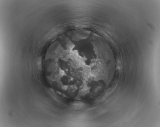 X0000113610519200910091544