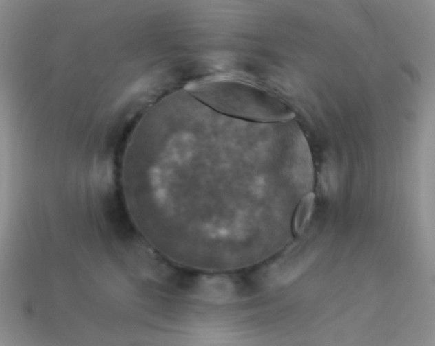 X0000113610520200910091544