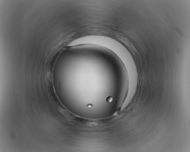 X0000113610521200910091544