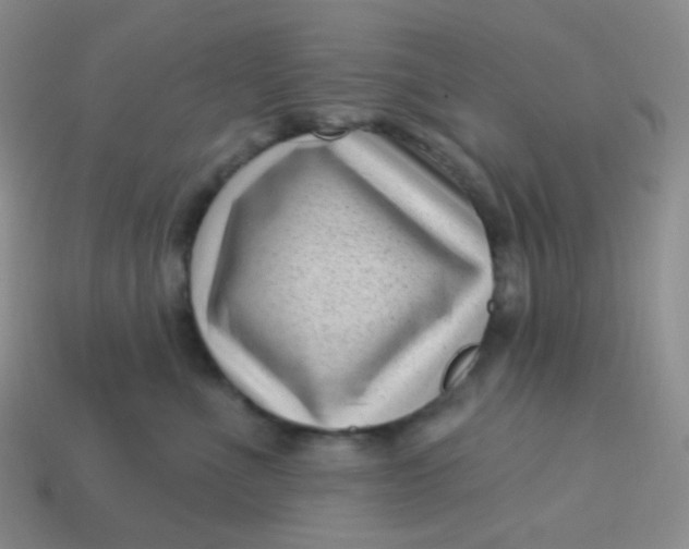 X0000113610523200910091544