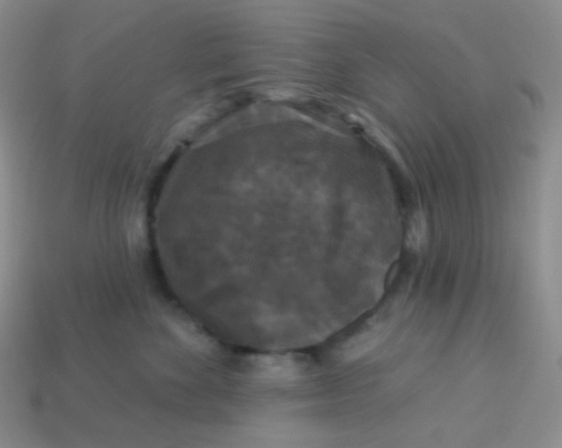 X0000113610524200910091544