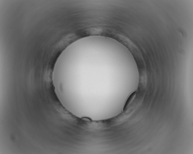 X0000113610525200910091544