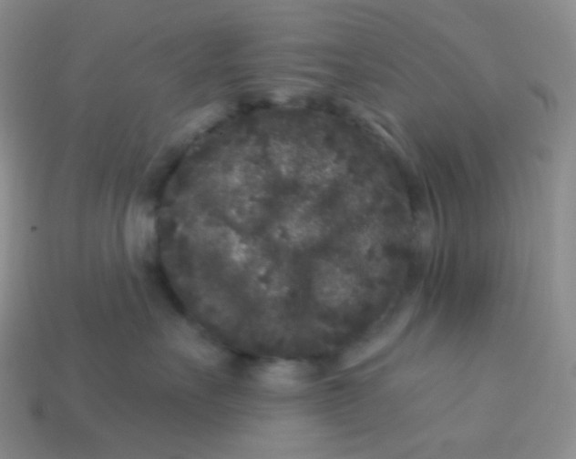 X0000113610527200910091544