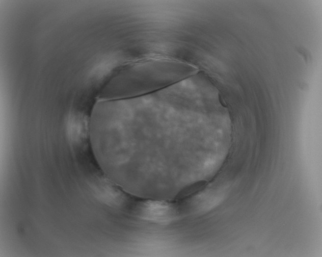 X0000113610528200910091544