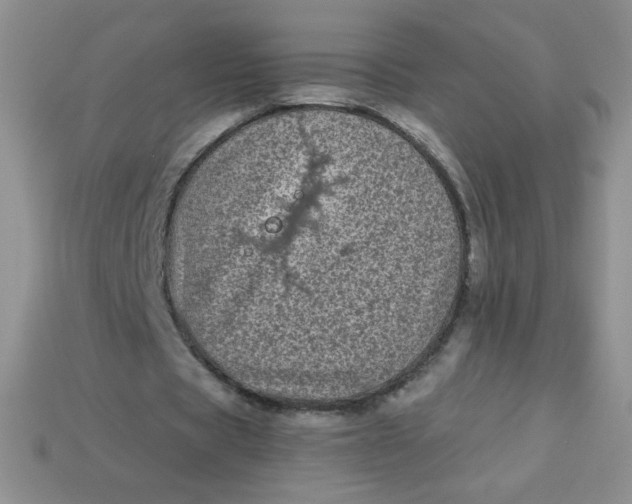 X0000113610529200910091543