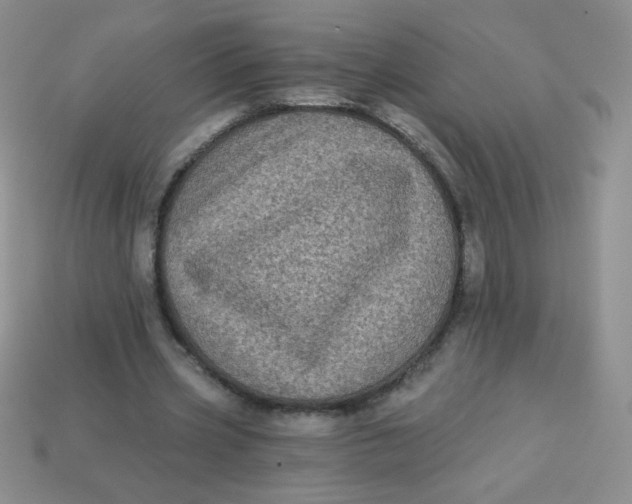 X0000113610533200910091544