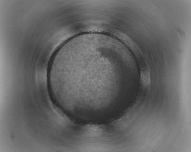 X0000113610534200910091544