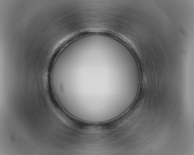 X0000113610535200910091544