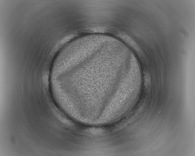 X0000113610537200910091544