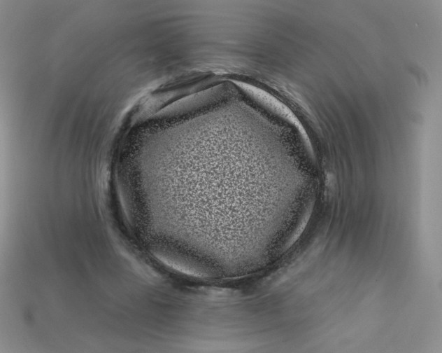 X0000113610539200910091544