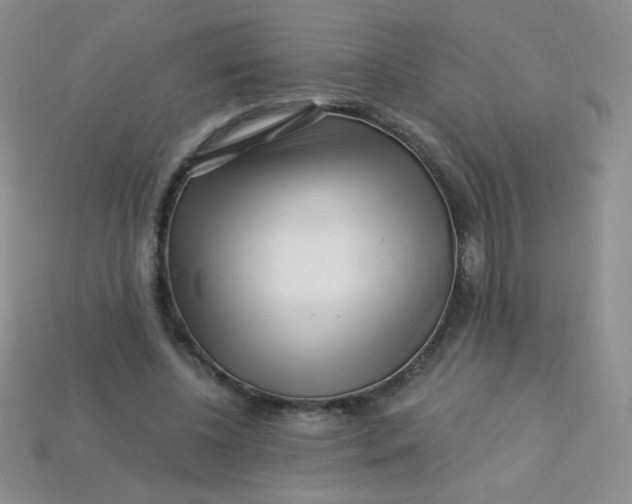 X0000113610540200910091544