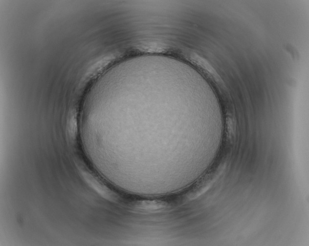 X0000113610541200910091544