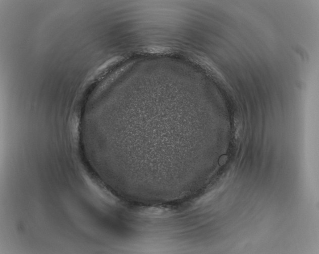 X0000113610542200910091544