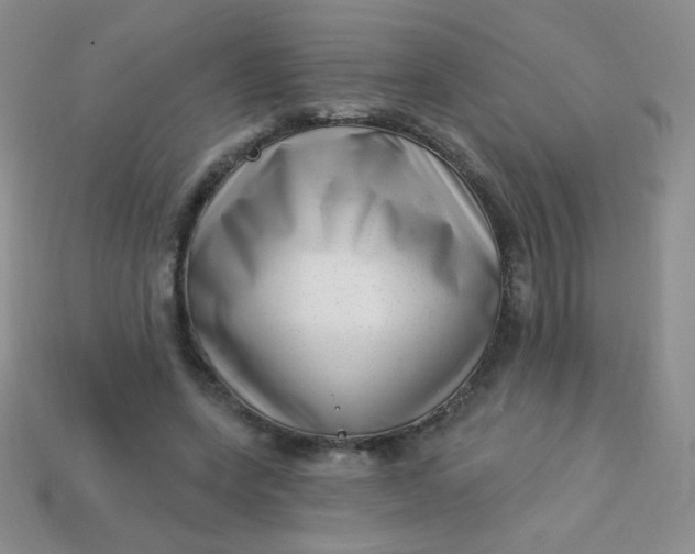 X0000113610543200910091544