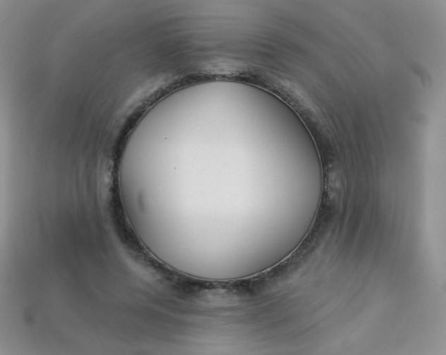 X0000113610544200910091544