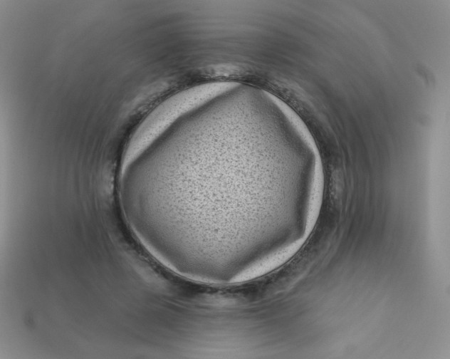 X0000113610545200910091544