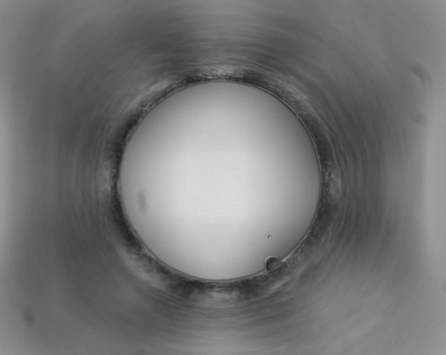 X0000113610546200910091544