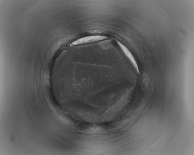 X0000113610547200910091544