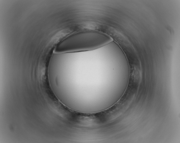 X0000113610548200910091544