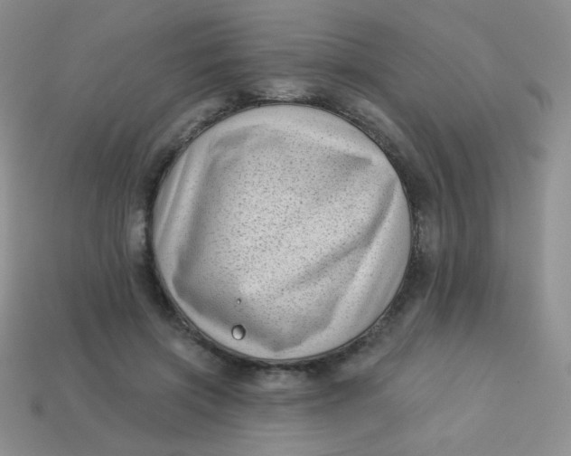 X0000113610549200910091544