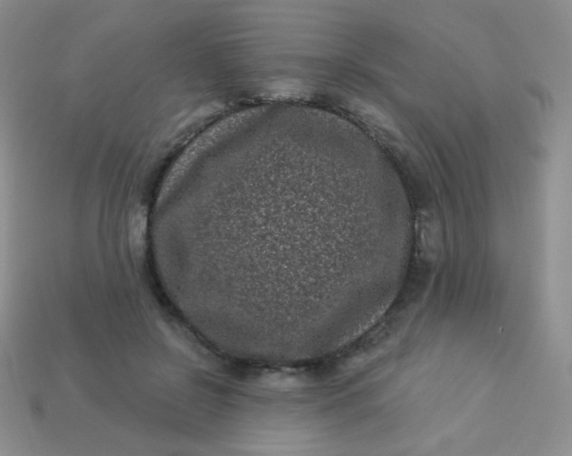 X0000113610550200910091544