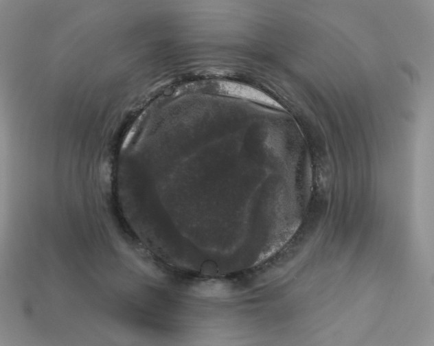 X0000113610551200910091544