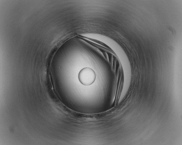 X0000113610552200910091544