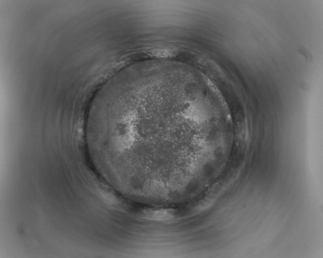 X0000113610553200910091544