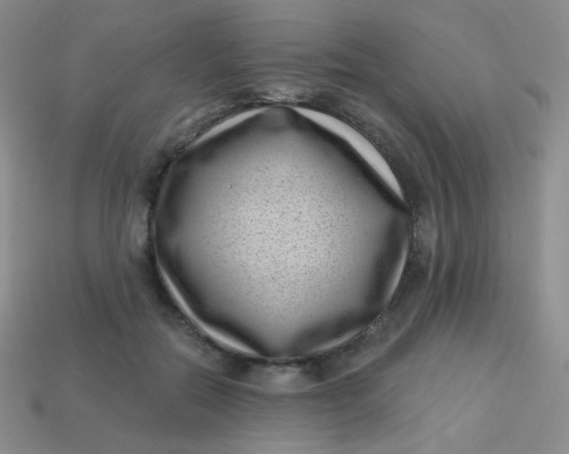 X0000113610554200910091544