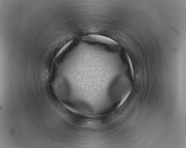 X0000113610555200910091544