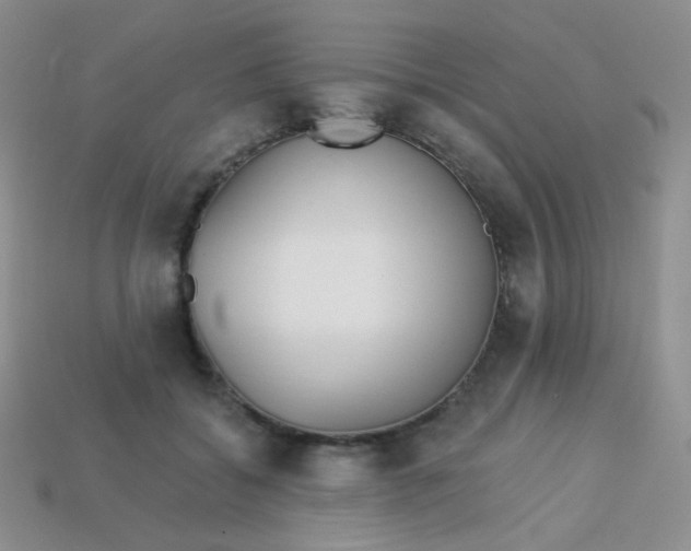 X0000113610556200910091544