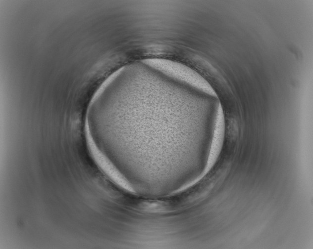 X0000113610557200910091544