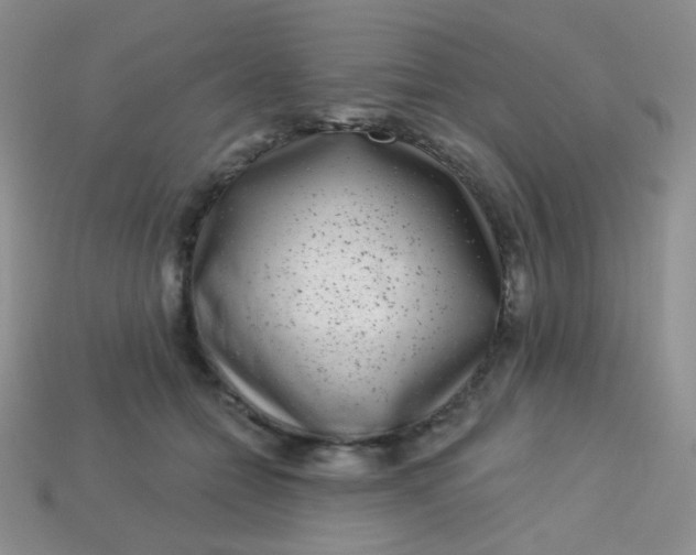 X0000113610558200910091544