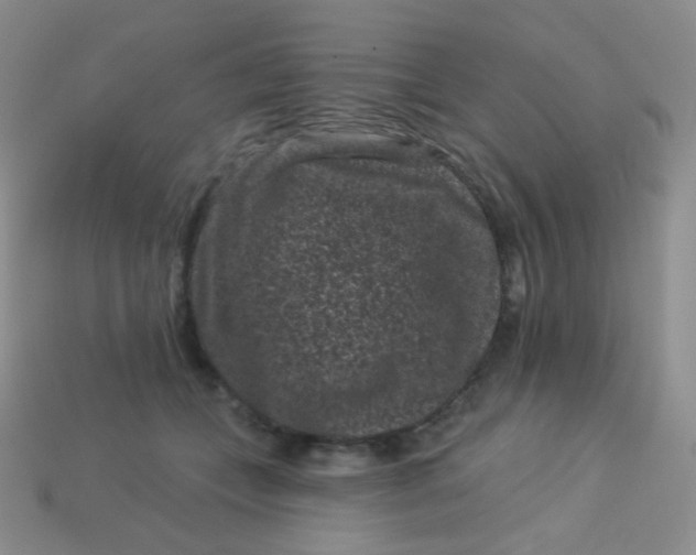 X0000113610559200910091544