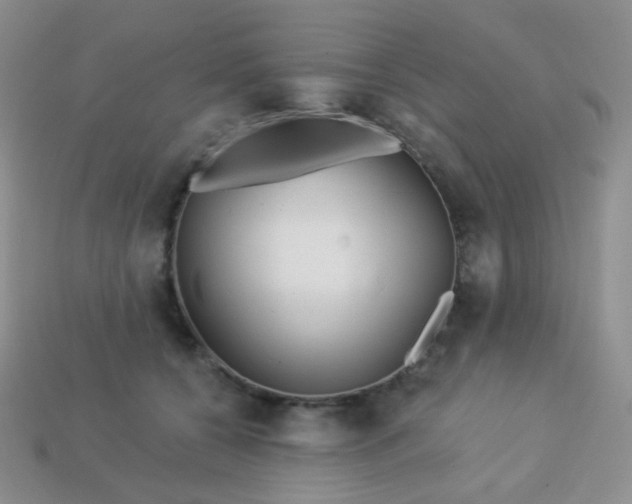 X0000113610560200910091544