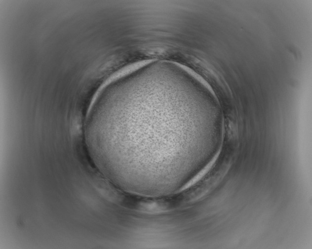 X0000113610561200910091544