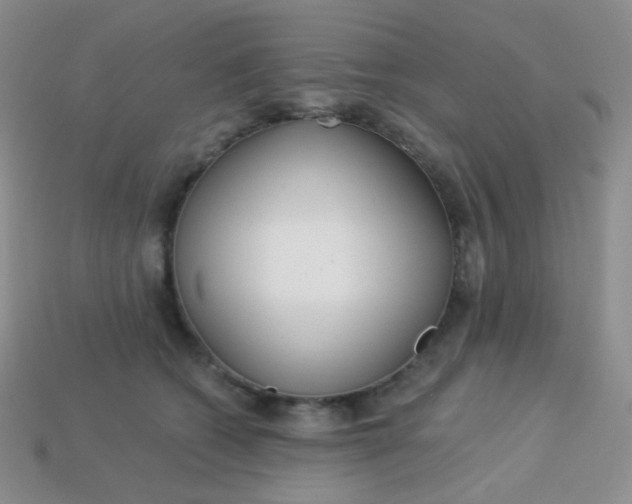 X0000113610562200910091544