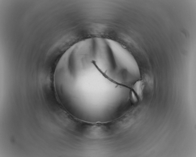 X0000113610566200910091544