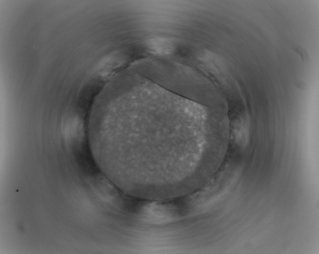 X0000113610568200910091544