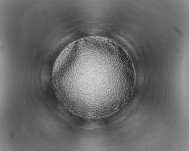 X0000113610569200910091544