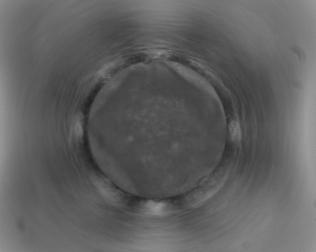 X0000113610570200910091544